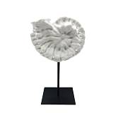 SHELL ΔΙΑΚΟΣΜΗΤΙΚΟ ΚΟΧΥΛΙ 20x11x36cm POLYRESIN ΑΣΠΡΟ ΜΑΥΡΟ ΜΕΤΑΛΛΟ