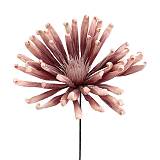 ΛΟΥΛΟΥΔΙ FOAM ΑΝΘΟΣ ΑΧΙΝΟΥ ΣΟΜΟΝ - 30x85cm 8/48ΚΙΒ